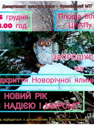 ВІДКРИТТЯ НОВОРІЧНОЇ ЯЛИНКИ В С. КАМІННЕ