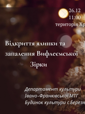 ВІДКРИТТЯ НОВОРІЧНОЇ ЯЛИНКИ В С. БЕРЕЗІВКА