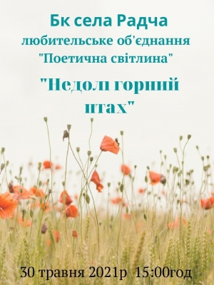 МИСТЕЦЬКА ЗУСТРІЧ "НЕДОЛІ ГОРНИЙ ПТАХ"
